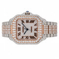 Custom diamond-set two-tone rose gold and steel Panthère, front view