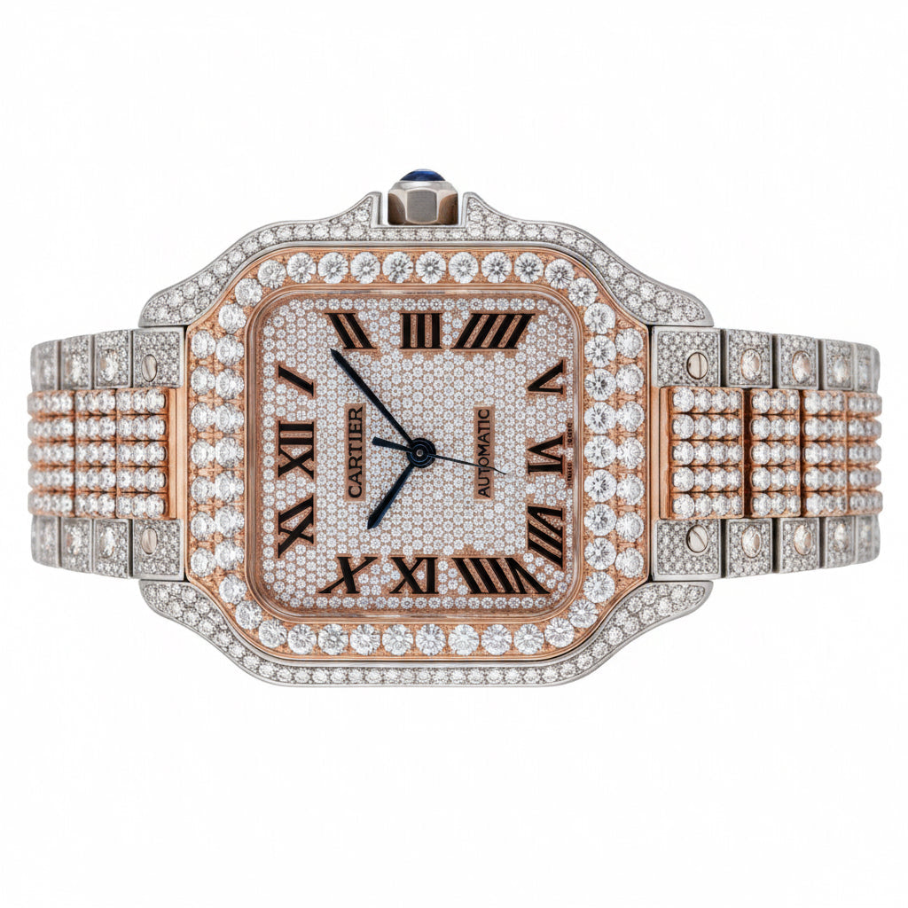 Custom diamond-set two-tone rose gold and steel Panthère, front view
